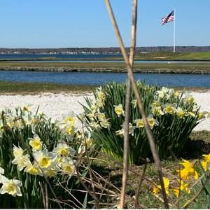 Meet your Posher, Dale